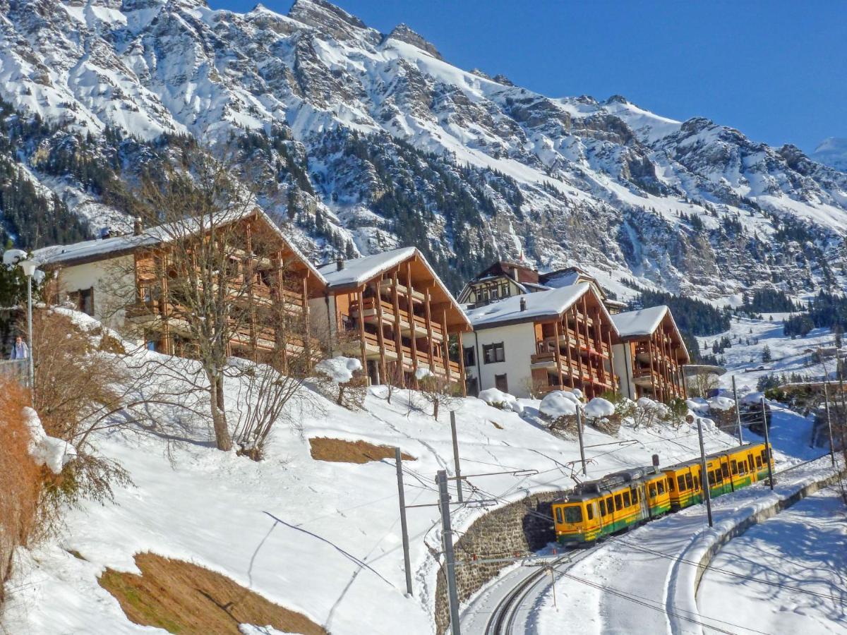 Studio Krokus By Interhome Wengen Kültér fotó