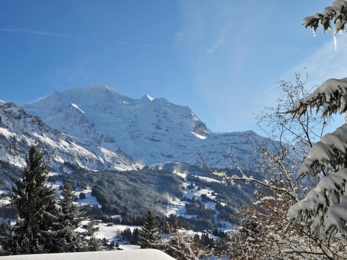 Studio Krokus By Interhome Wengen Kültér fotó