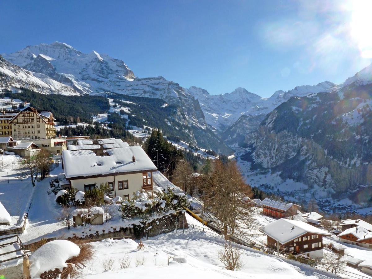 Studio Krokus By Interhome Wengen Kültér fotó