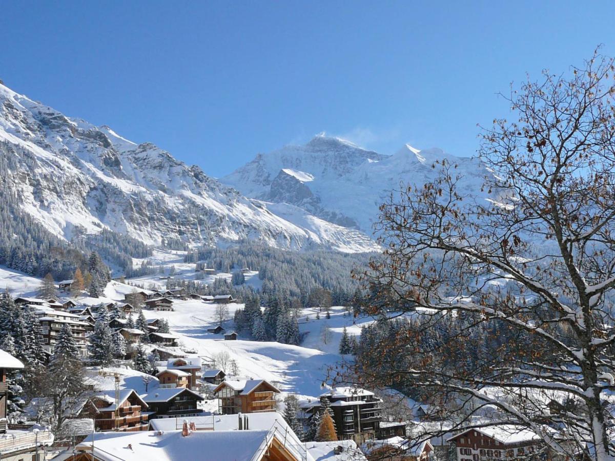 Studio Krokus By Interhome Wengen Kültér fotó