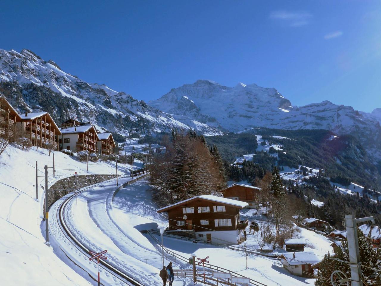 Studio Krokus By Interhome Wengen Kültér fotó