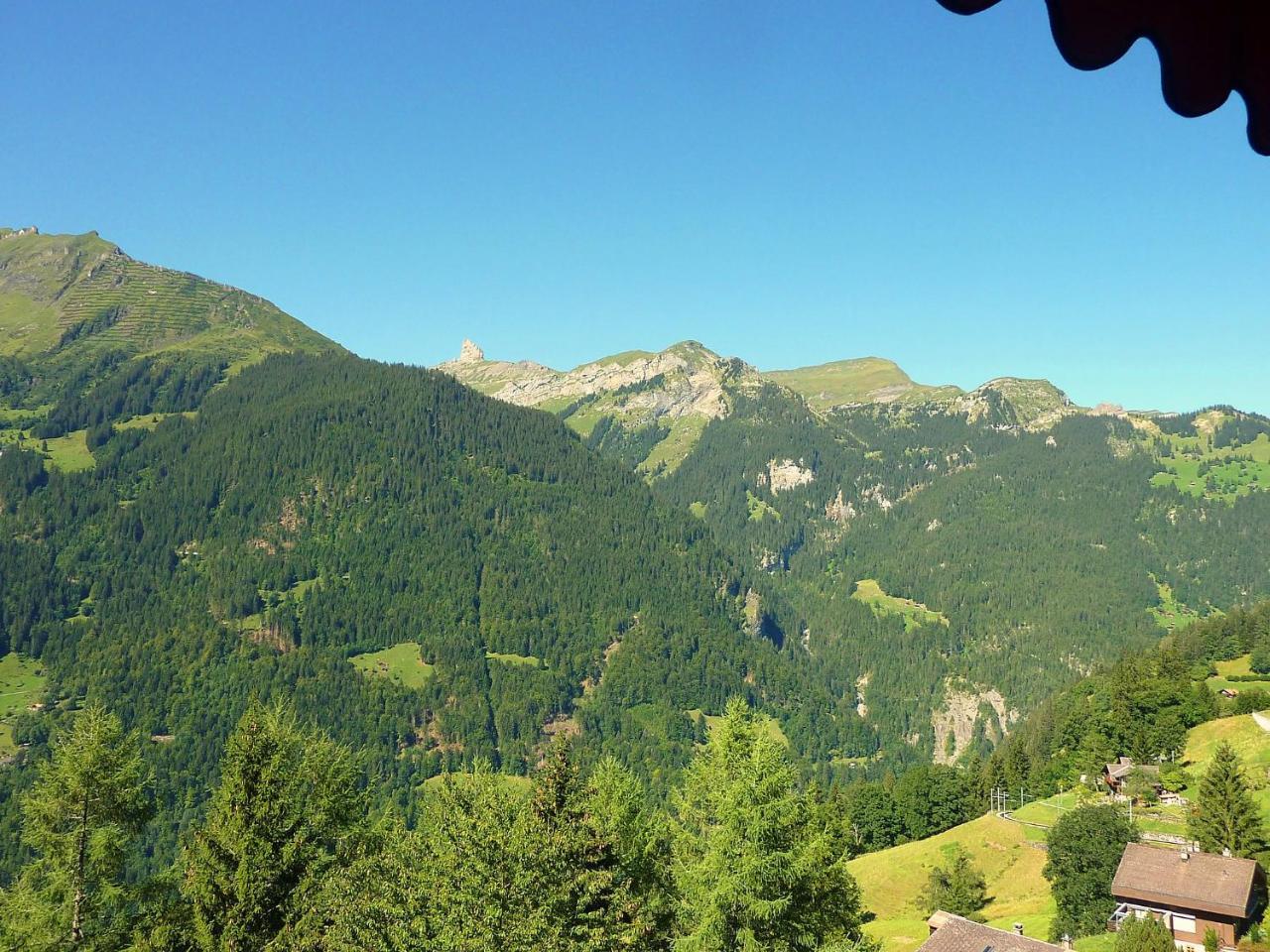 Studio Krokus By Interhome Wengen Kültér fotó
