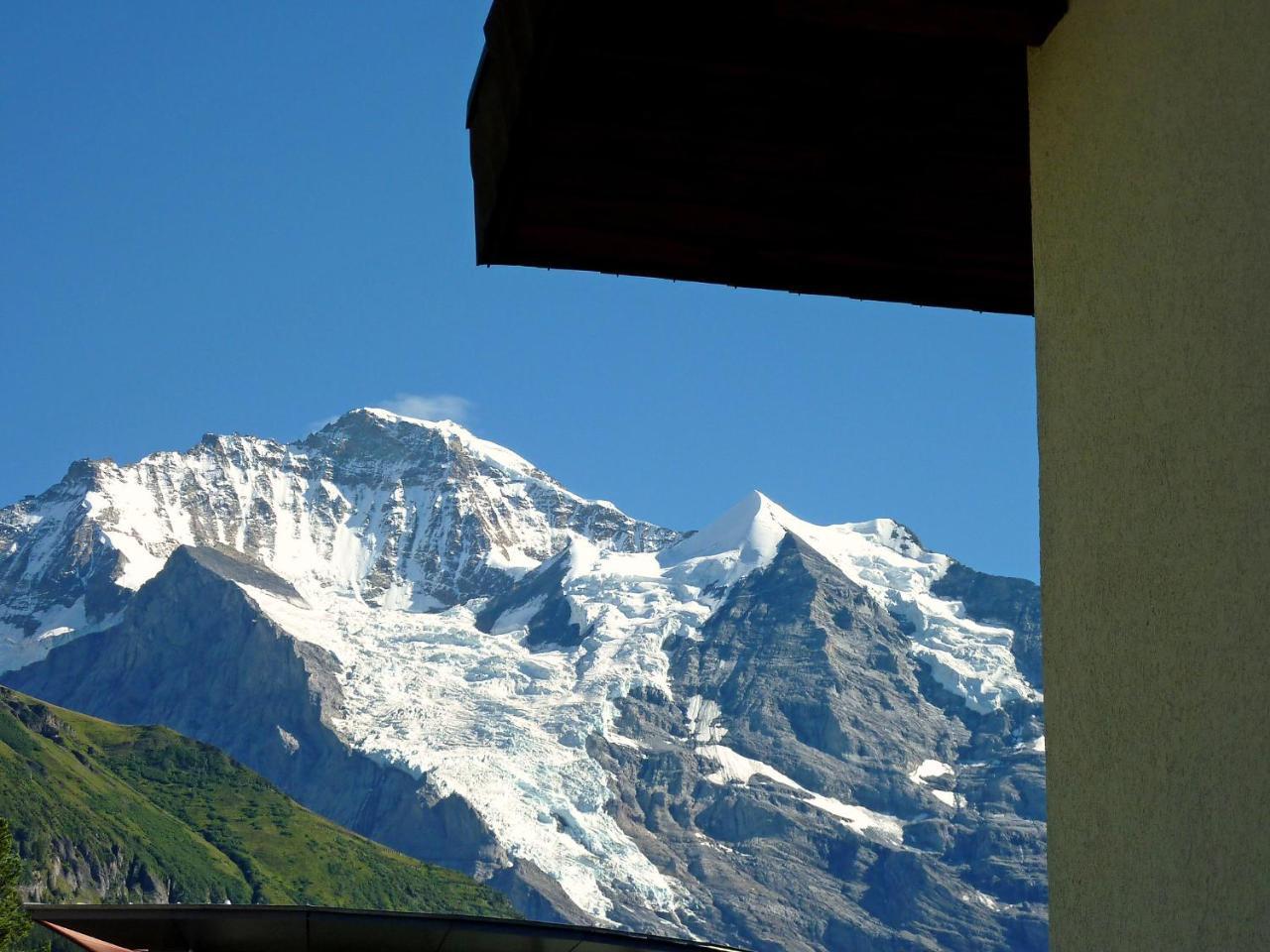 Studio Krokus By Interhome Wengen Kültér fotó